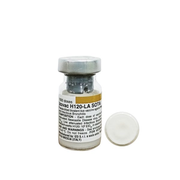 Vaxxinova - IZOVAC H120 - LA SOTA