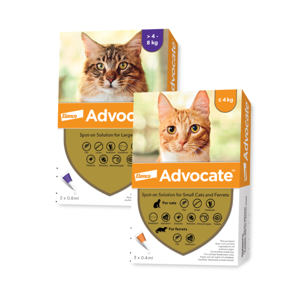 Elanco - Advocate Cat