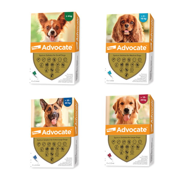 Elanco - Advocate Dog